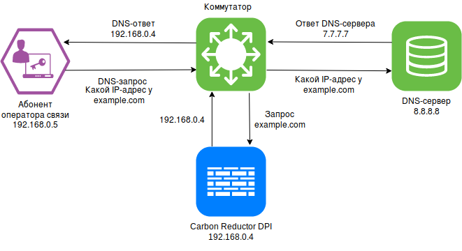 Carbon Reductor DPI X DNS-фильтрация